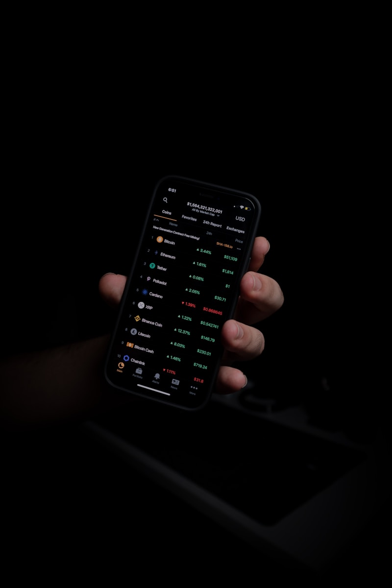 person holding black iphone 5